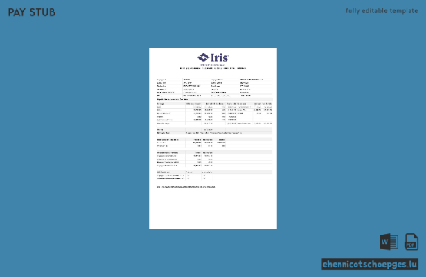 Iris Software Technologies Gehaltsabrechnungsbeispiel-Vorschau